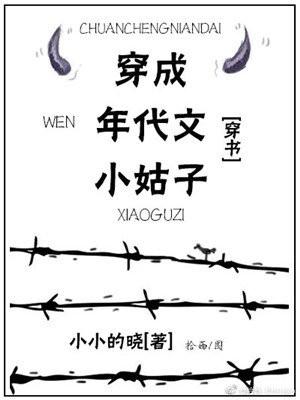 穿成年代文小姑子by小小的晓百度封面