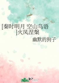 秦时明月里的风林火山是谁封面
