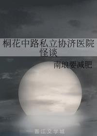 桐花中路私立协济医院怪谈封面