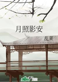 月照影安封面