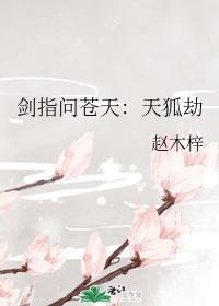 剑指问苍天：天狐劫封面