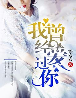 我曾经爱过你海来阿木什么歌封面