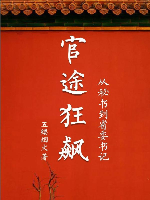 官途狂飙：从秘书到省委书记封面