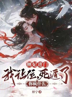 侧妃进门我让位,死遁了你疯什么封面