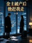 金主破产后他赶我走封面