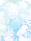 为了阻止我上清北，青梅直接拦截了邮政封面